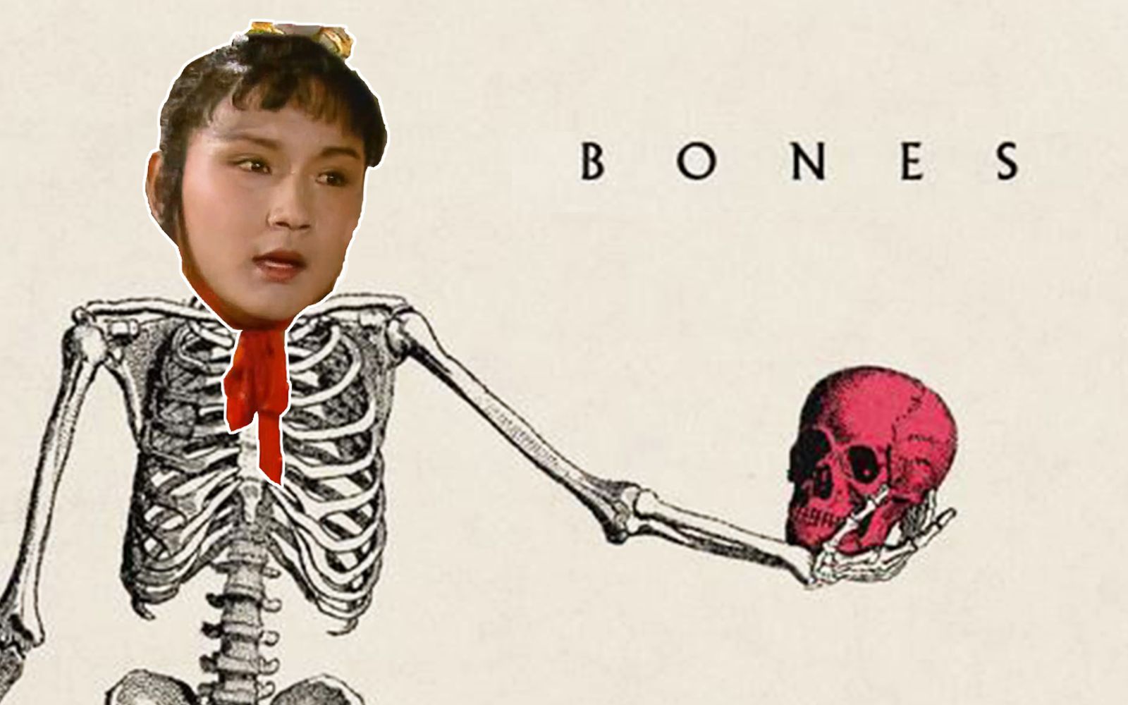 [图]【红楼梦】红颜如bones