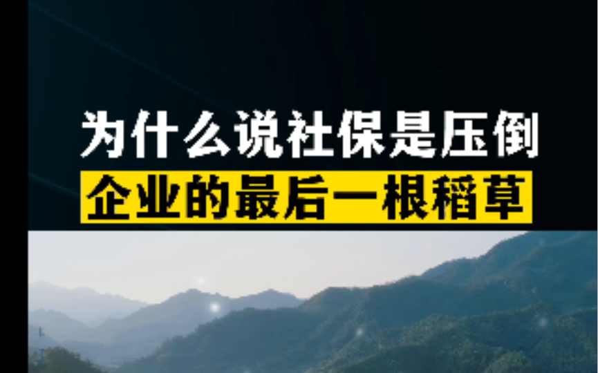 为什么说社保是压倒企业的最后一根稻草哔哩哔哩bilibili