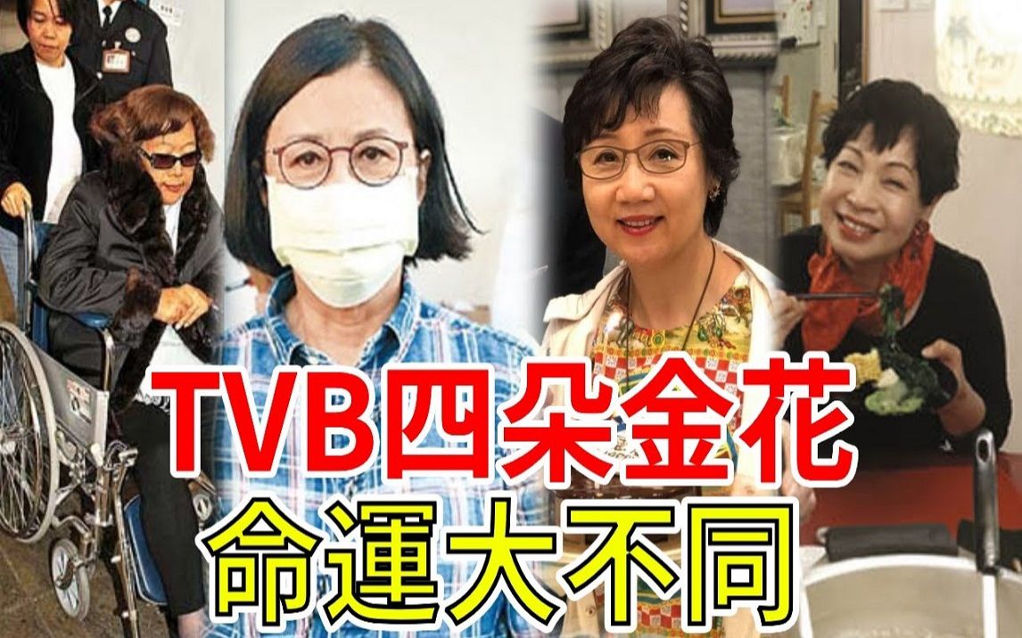 TVB欢乐今宵四朵金花现况如何哔哩哔哩bilibili