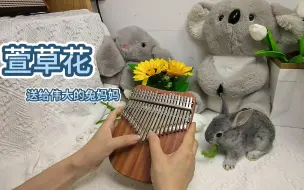 Video herunterladen: 【拇指琴/卡林巴】《萱草花》送给邻居家的兔妈妈（7-24天的小兔子）