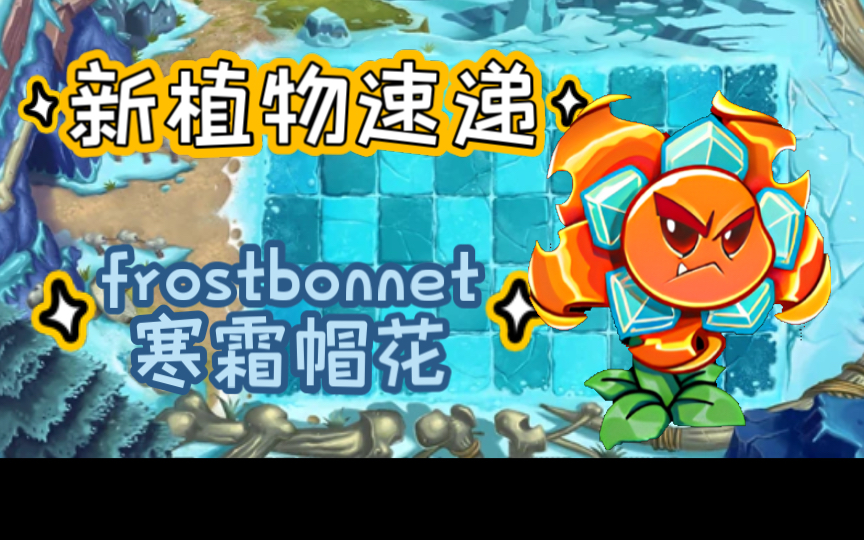 新版本新植物速递 frostbonnet 寒霜帽花 (pvz2国际版)