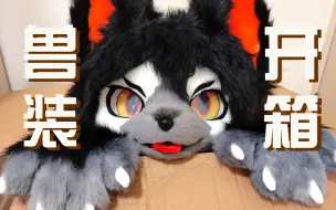 【fursuit兽装开箱】是阿桔家的新成员，帅气狗宝维塔！！