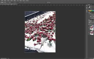 Tải video: ｐｓ制作雪玫瑰翻页效果