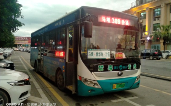 (当车上混入了一个嘉心糖)【云乘车55】韶关汽车客运南站309路云乘车体验哔哩哔哩bilibili