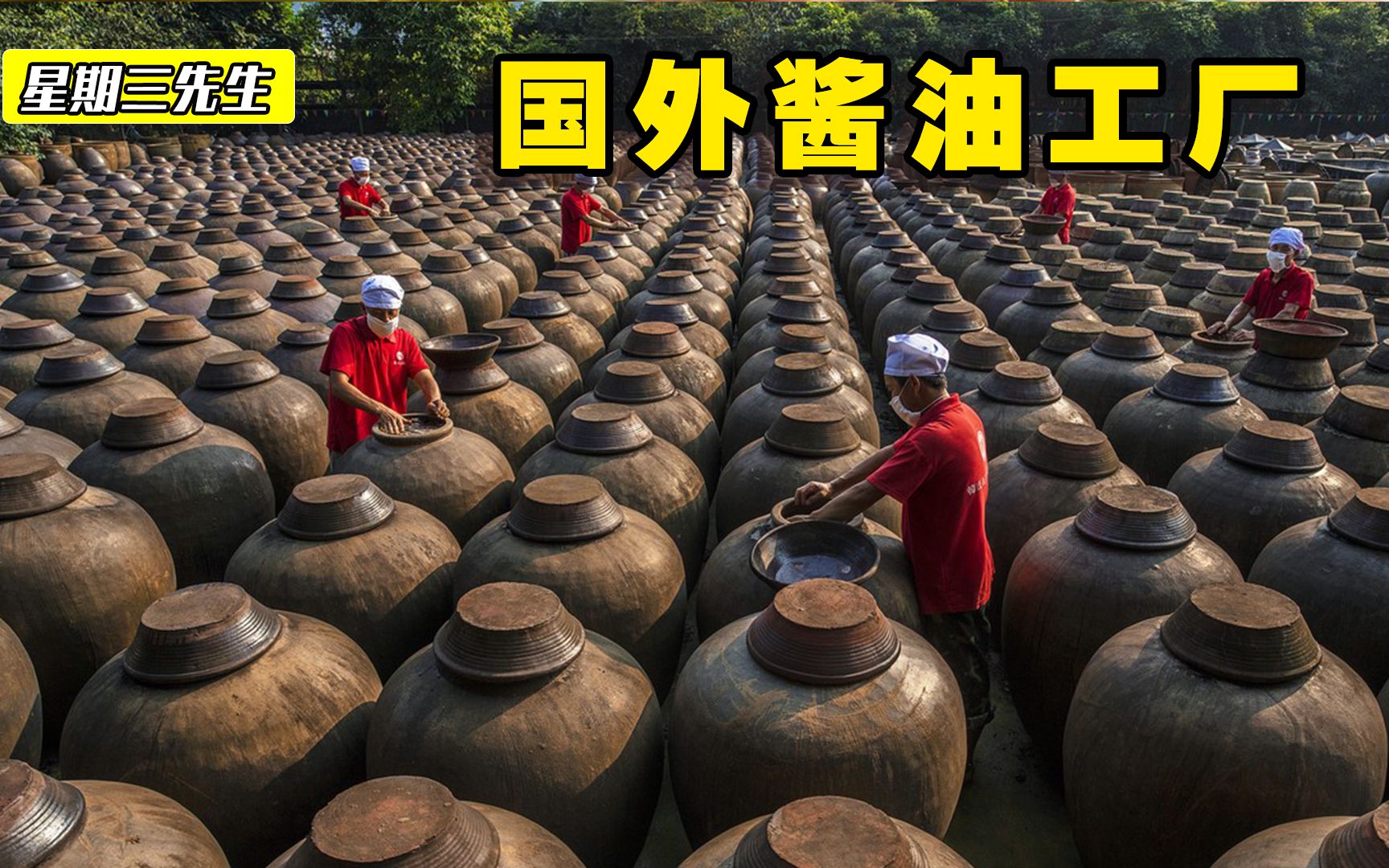 探访酱油工厂黄豆发酵12个月只能生产出600多瓶