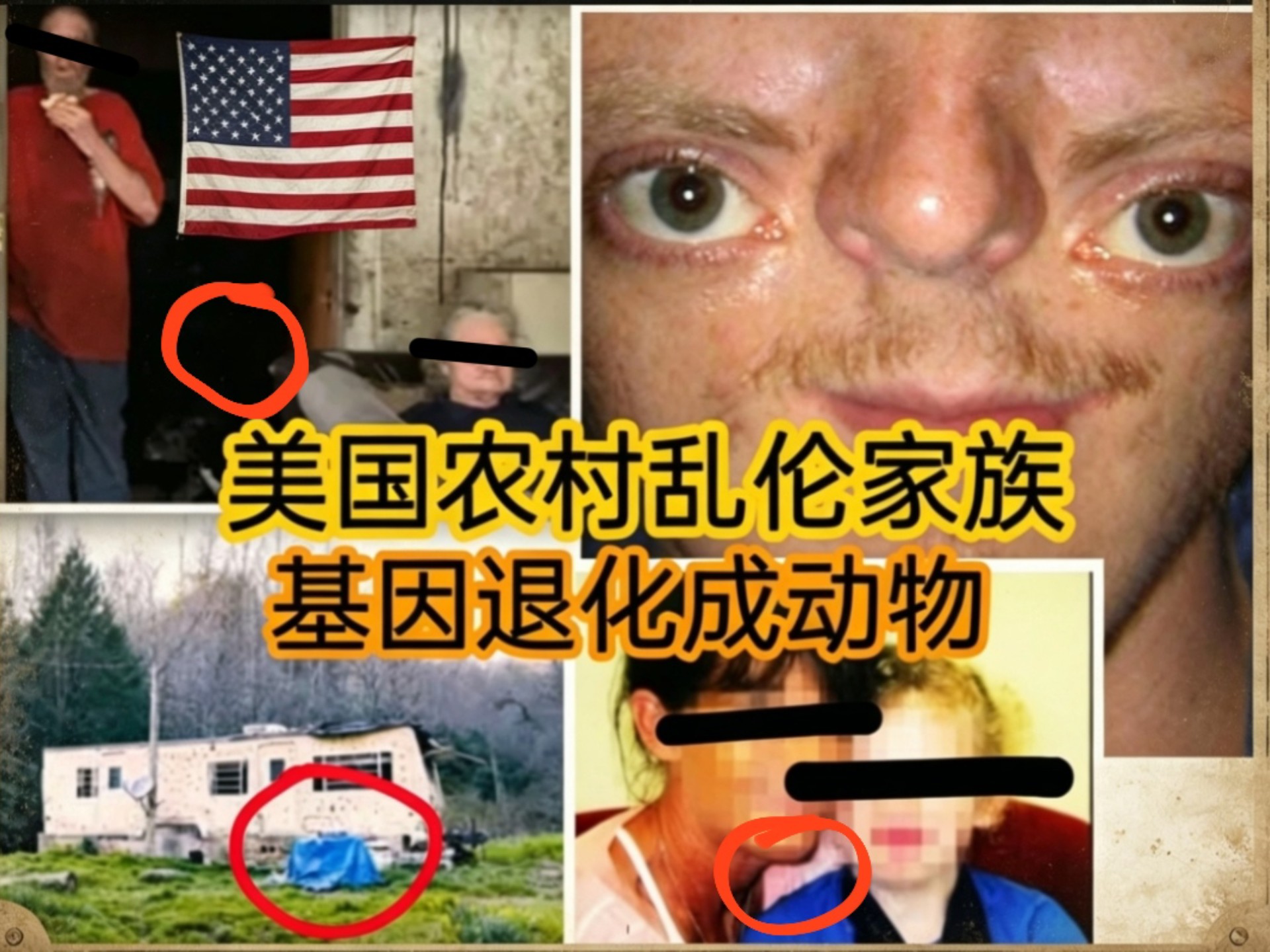 美国农村乱伦家族，基因退化成动物海报