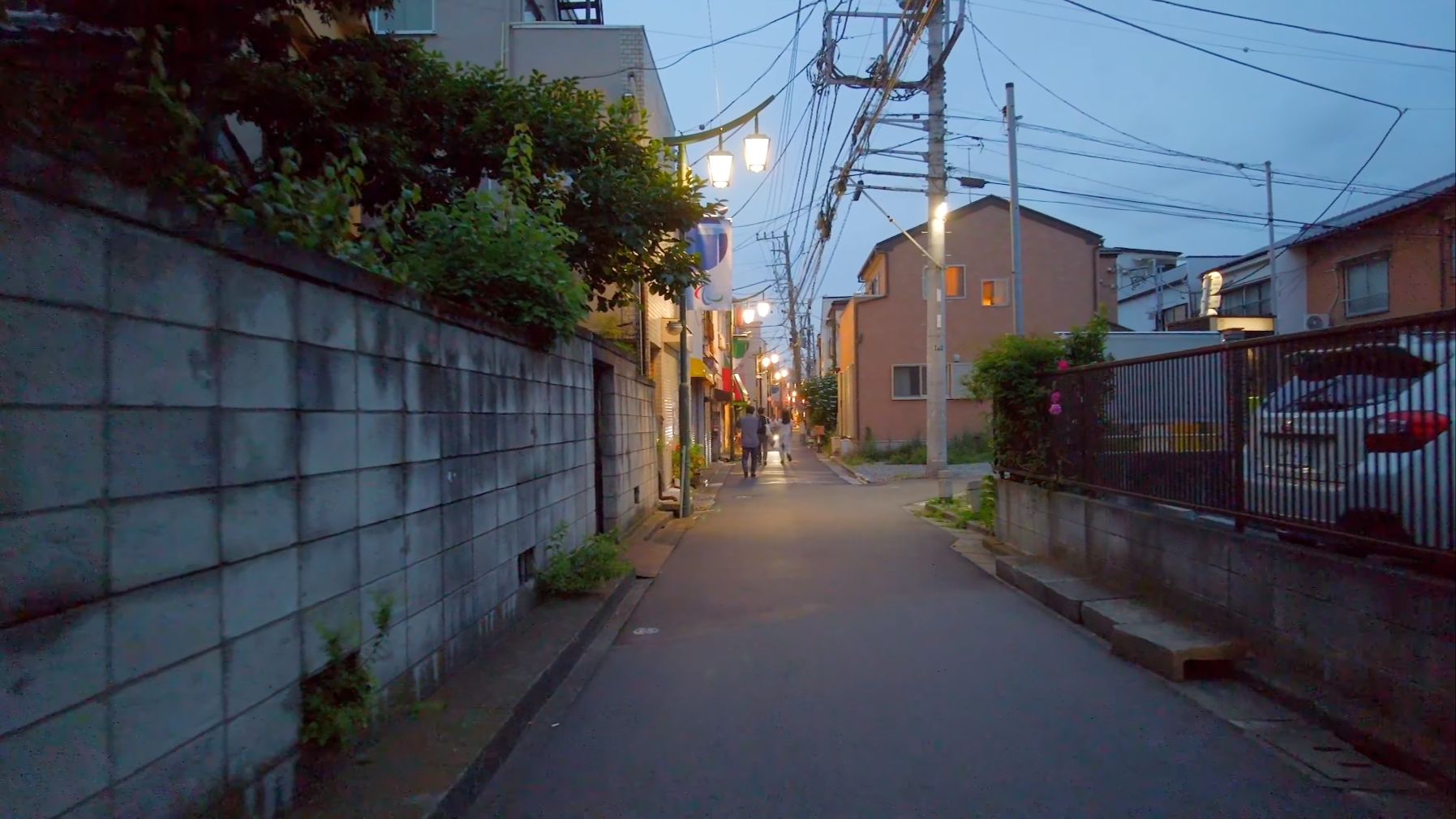 【4k】东京鸠街通商店街夜晚散步 日本街景> 东京>