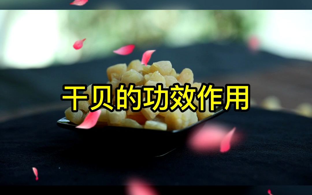 意康德分享:干贝的功效作用?哔哩哔哩bilibili