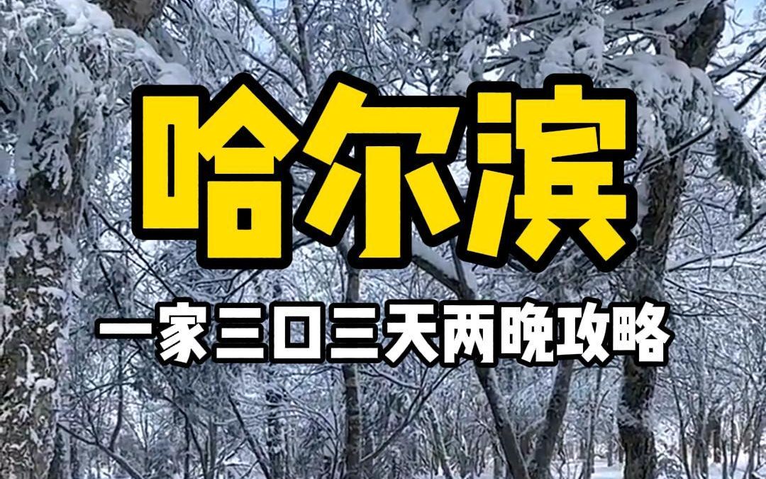 一家三口去哈尔滨和雪乡游玩攻略哔哩哔哩bilibili