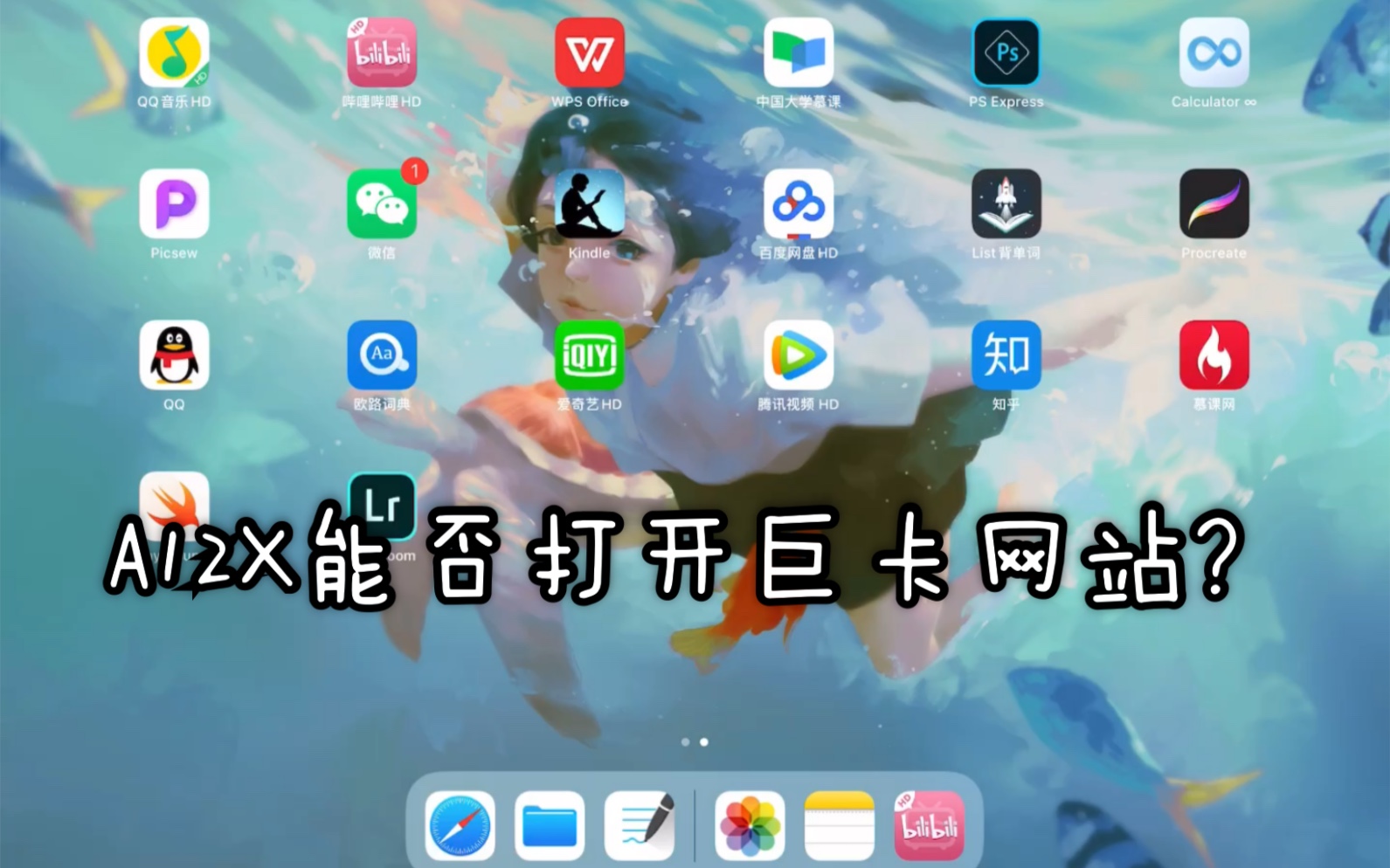 逗宗ipadpro能否打开巨卡网站?哔哩哔哩bilibili