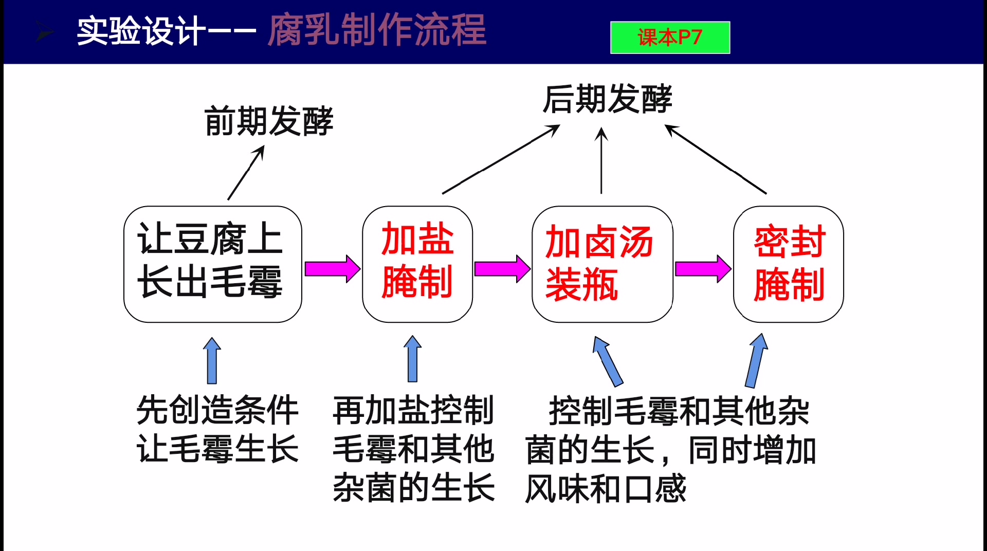 腐乳的制作哔哩哔哩bilibili