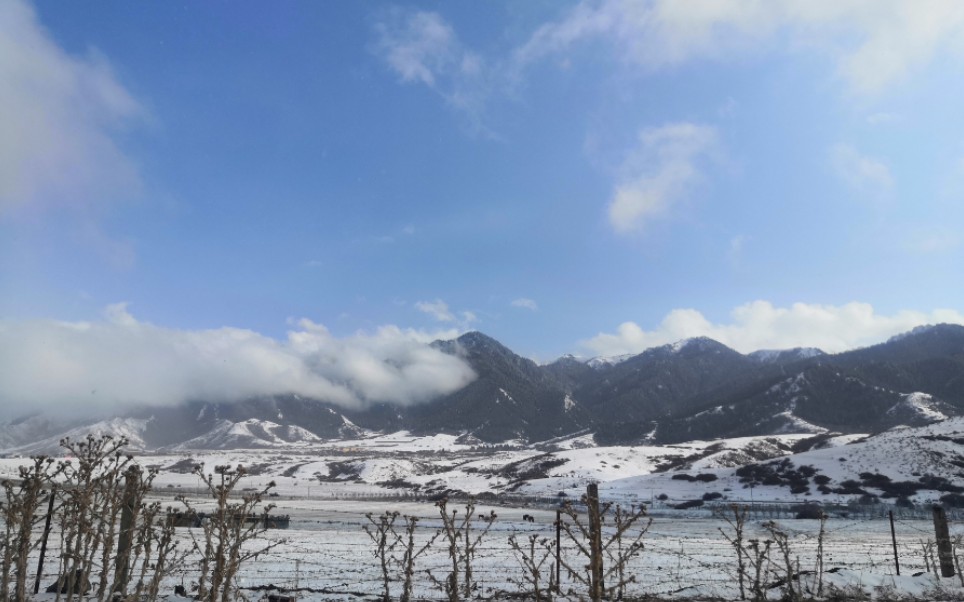 [图]当内地春暖花开时，乌鲁木齐却下起了雨夹雪，四月到乌鲁木齐来看雪。