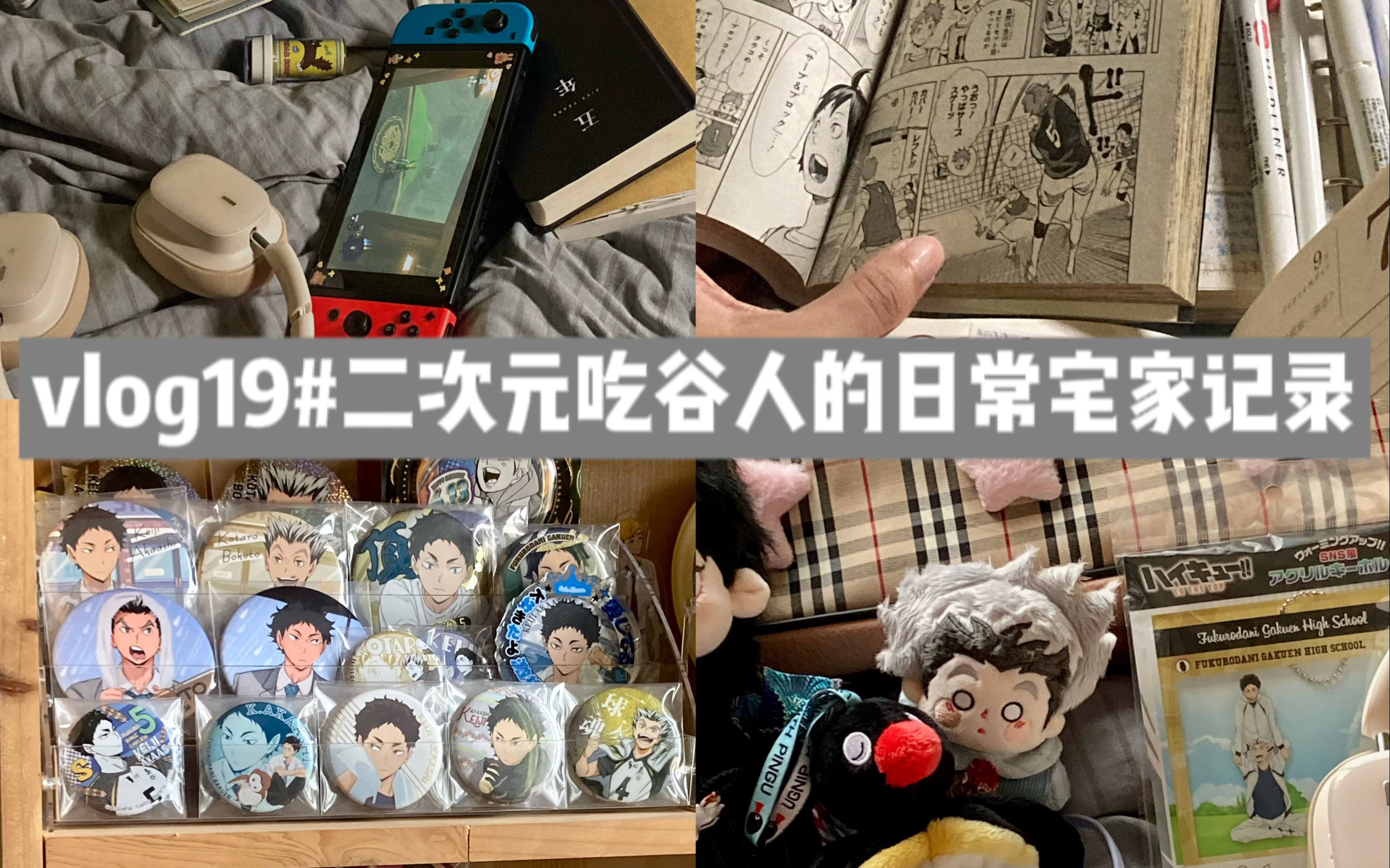 vlog/二次元吃谷人的游戏 看番 收纳谷子 写手帐日常/宅在家的幸福时刻-袁英俊-袁英俊-哔哩哔哩视频
