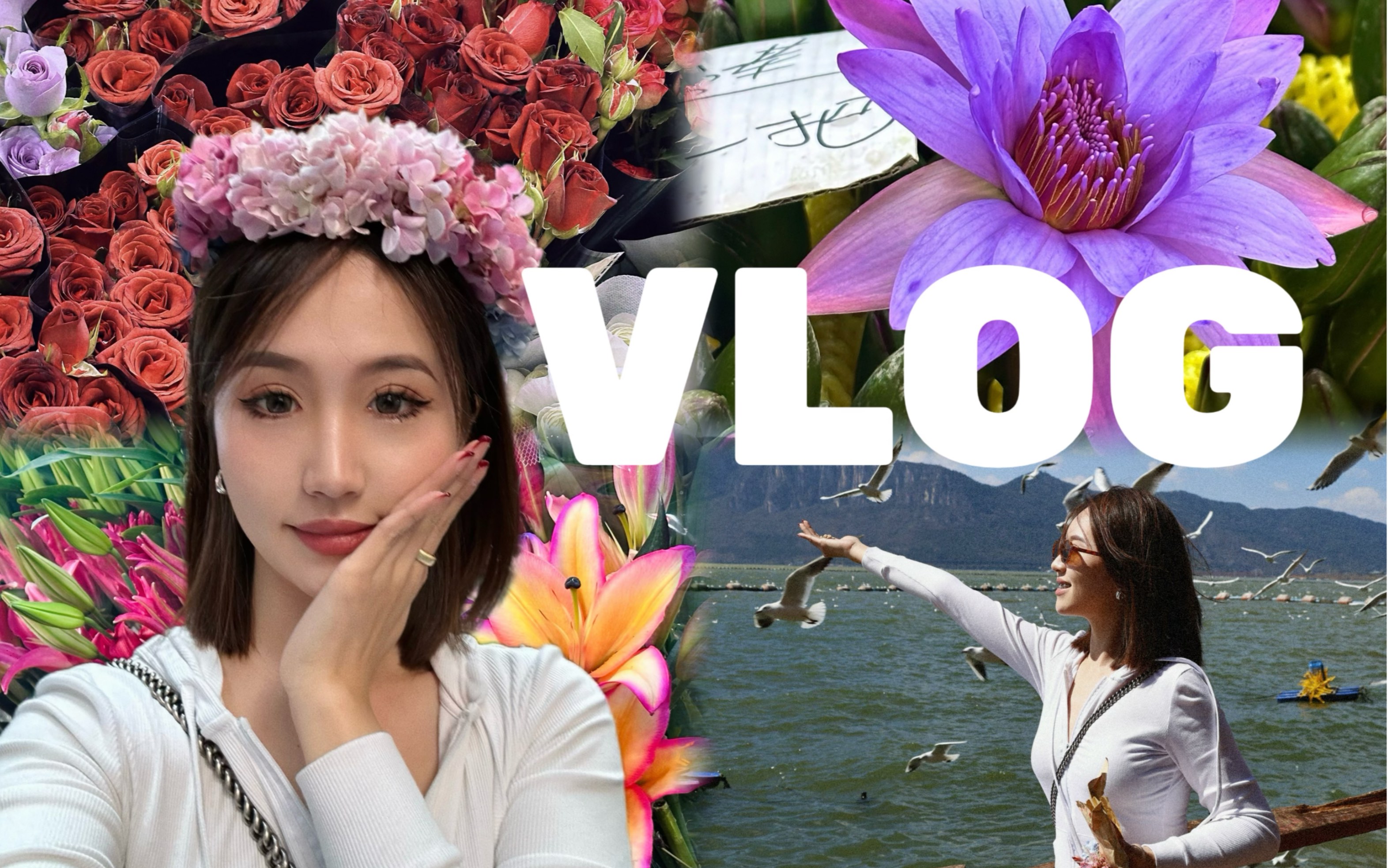 昆明旅行vLoG|昆明的浪漫/鲜花占一半|昆明特种兵1日游哔哩哔哩bilibili