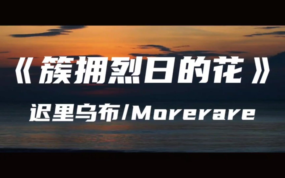 《簇拥烈日的花》迟里乌布/Morerare～我的心是簇拥烈日的花 在你的眼里找到了家