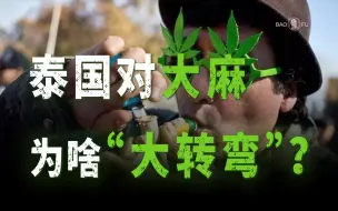 Download Video: 吸食人群猛增10倍，大麻合法化又要禁止，泰国后悔了？