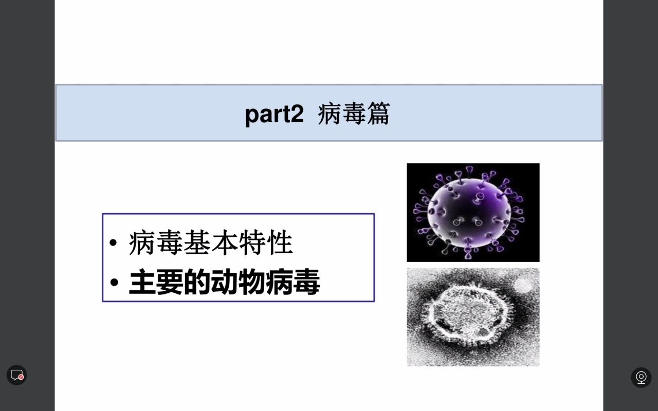 [图]微生物与免疫(三)