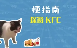 Download Video: 探窗KFC是什么梗【梗指南】