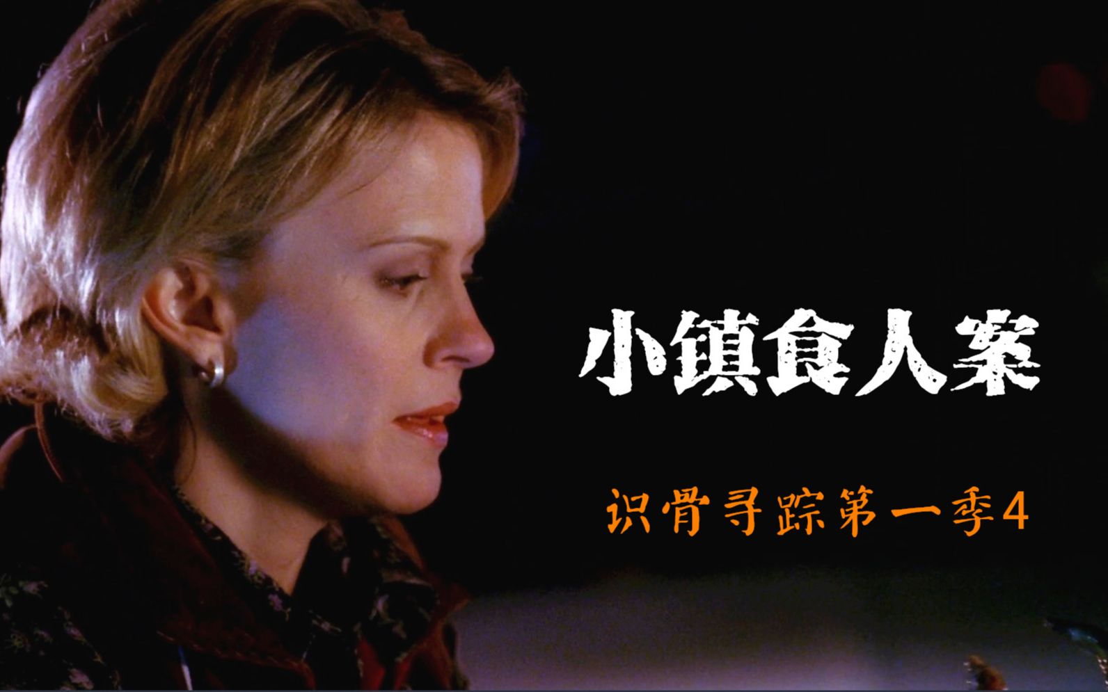 小镇出现食人族 大学生在森林离奇失踪 悬疑美剧《识骨寻踪》第一季4