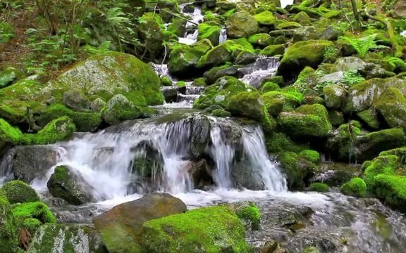 [图]jfx456《诗意中国》诗歌朗诵LED视频背景爱国诗词朗诵舞台大屏背景