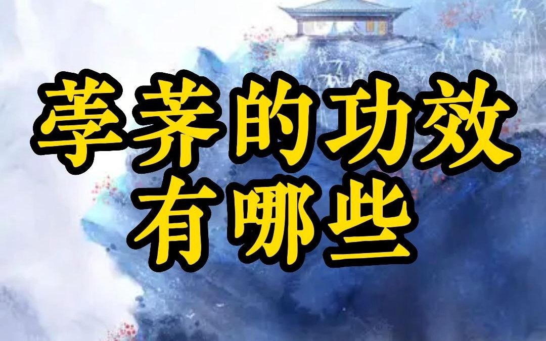 荸荠的功效有哪些——四季养生堂哔哩哔哩bilibili