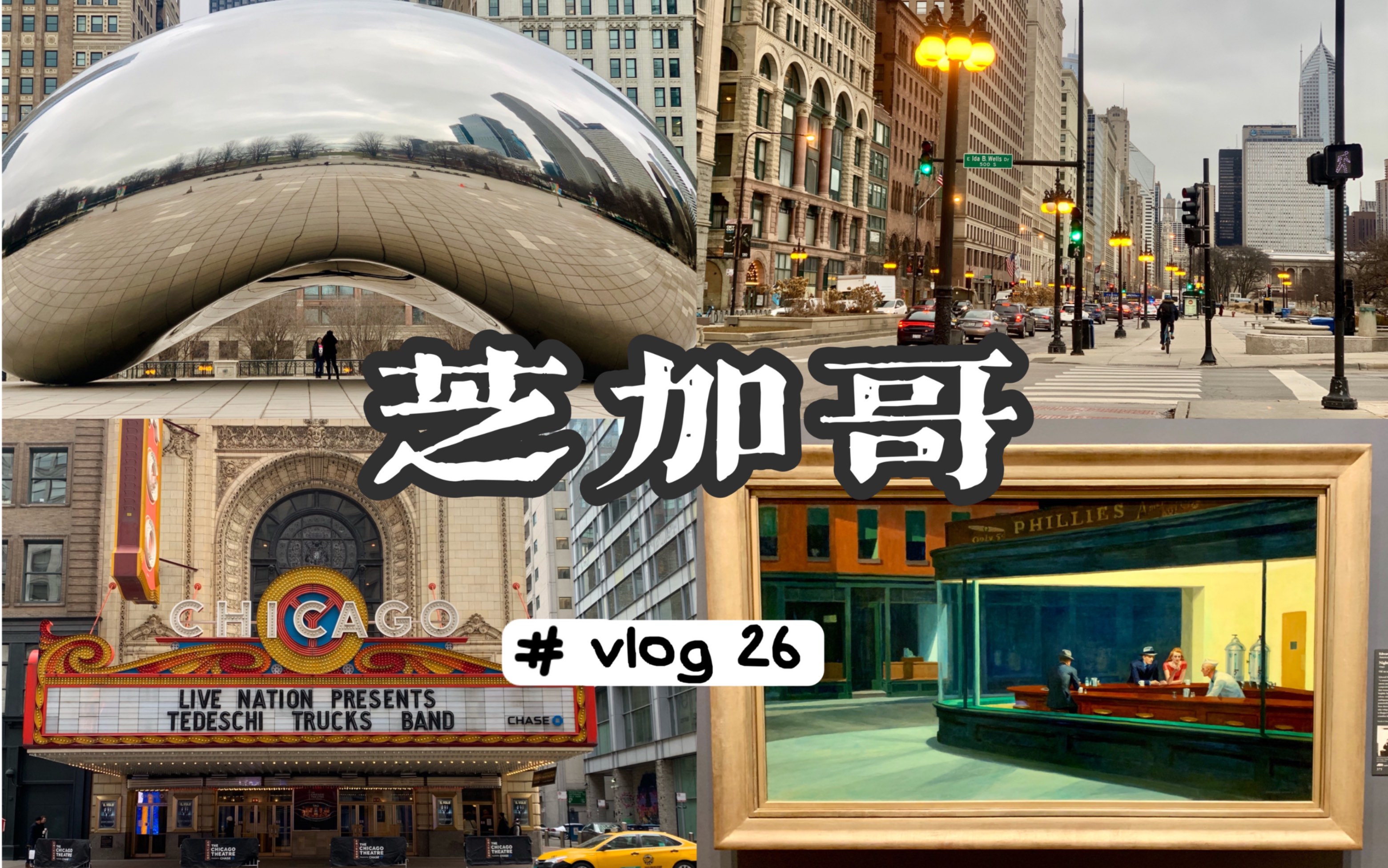 【vlog26】美国游ⷮŠ芝加哥千禧公园/云门/艺术博物馆/芝加哥大剧院/皇冠喷泉/中国城/白金汉纪念喷泉/海军码头哔哩哔哩bilibili