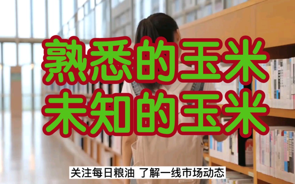 你所不知道的玉米:建国初期玉米产量仅为1300万吨左右,而目前我国玉米每年消费量保守估计已达2.6亿吨哔哩哔哩bilibili