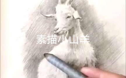 画着画着就炸毛系列二(山羊篇)哔哩哔哩bilibili