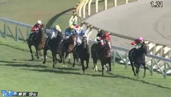 武丰中央重赏 G1 G2 G3 全胜利记录1995年 哔哩哔哩 Bilibili