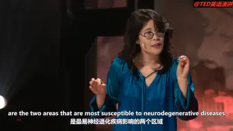 Download Video: 【TED演讲】去运动吧，这是对大脑最好的投资