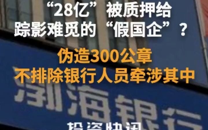 被质押给踪影难觅的“假国企”?伪造300公章,不排除银行人员牵涉其中%渤海银行%济民可信%华业石化%哔哩哔哩bilibili