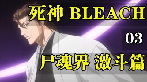 死神bleach 42 63集 尸魂界激斗篇 哔哩哔哩 Bilibili