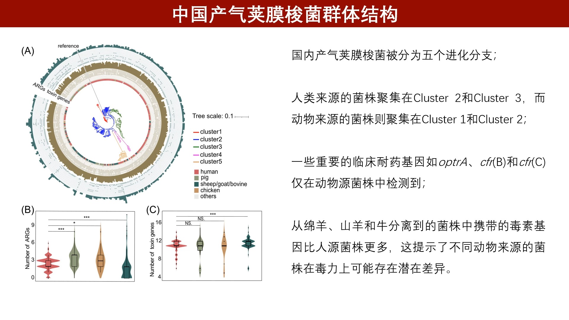 iMetaOmics | 四川大学王红宁组解析产气荚膜梭菌的基因组宿主适应性哔哩哔哩bilibili