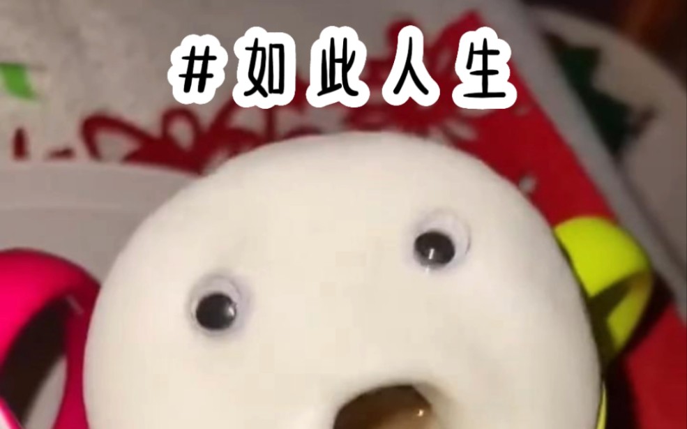 如此人生哔哩哔哩bilibili