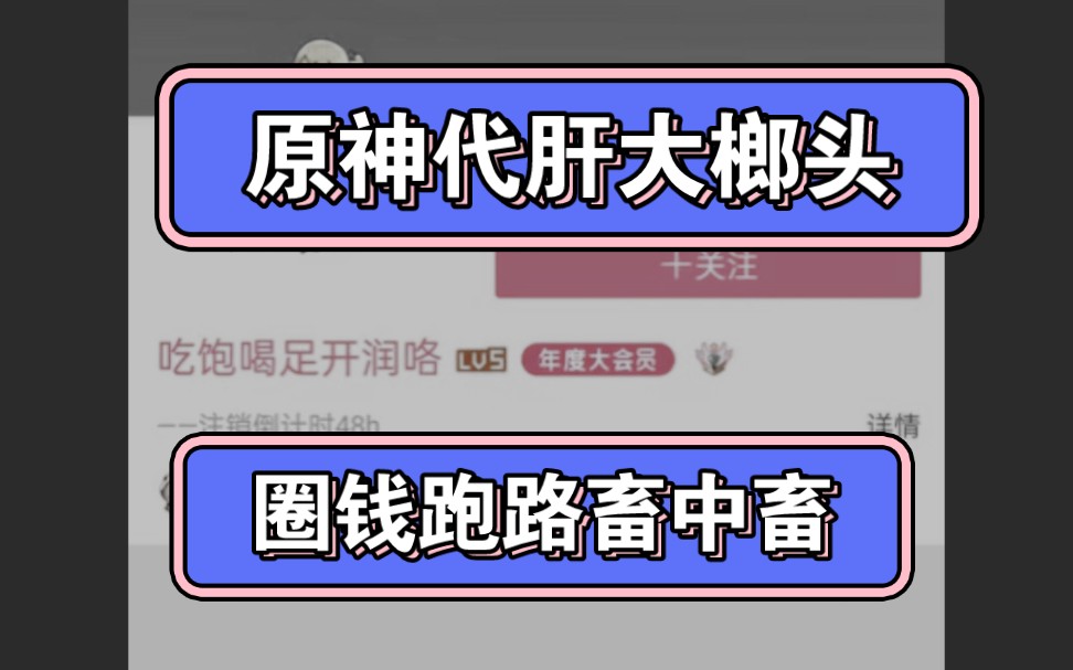 大型纪录片《大榔头传奇》哔哩哔哩bilibili