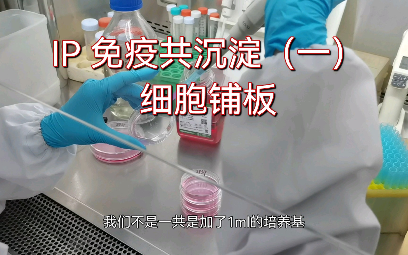 生物学小白不容错过~IP免疫共沉淀实验全流程之(一)保姆级细胞铺板!(含不离心细胞传代)哔哩哔哩bilibili