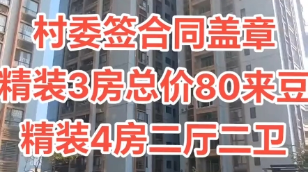 深圳宝安石岩村委统建楼《星湖名居》《星湖名居》项目简介.158/1462/3547哔哩哔哩bilibili