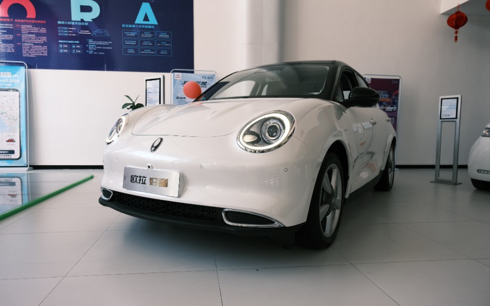 欧拉好猫拍照合集你觉得可以不可惜展车是白色