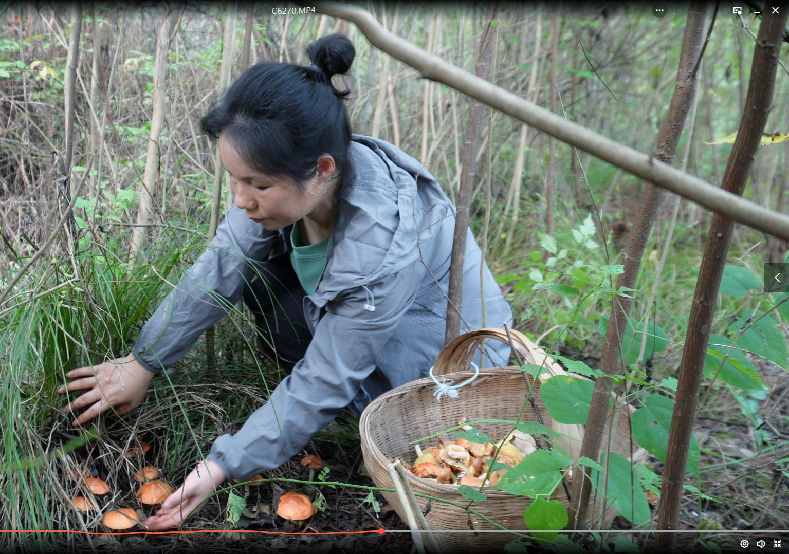 隐居生活,最爱采蘑菇,真的可以治愈一切内耗