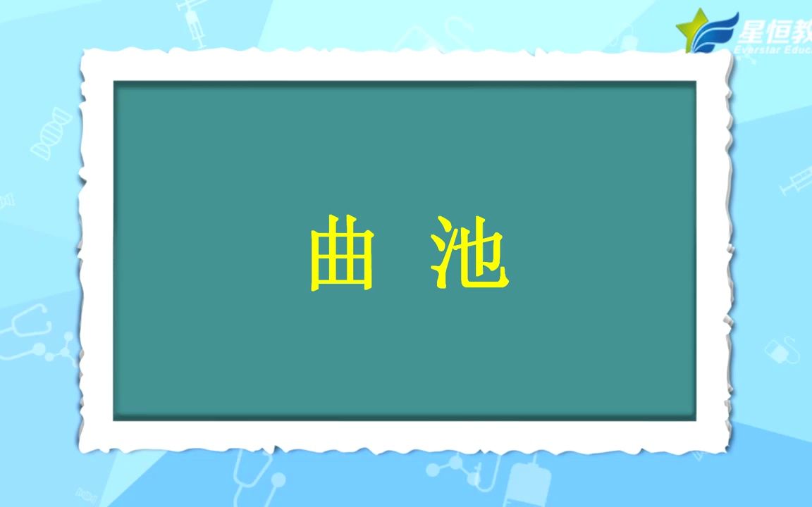 中医针灸取穴之常用针灸穴位 曲池哔哩哔哩bilibili