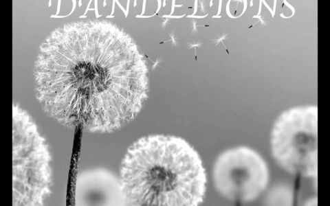 [图]Ruth B. - Dandelions (slowed reverb)