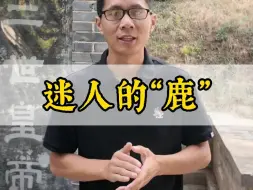 Tải video: 你知道的鹿城有几个？