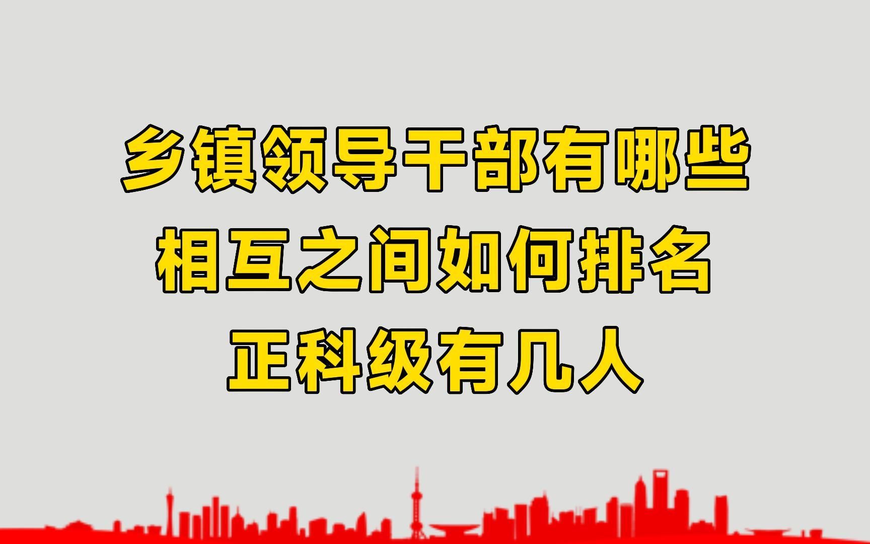 乡镇领导干部有哪些?相互之间如何排名?正科级有几人?哔哩哔哩bilibili