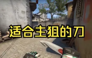 【csgo】哪些适合主狙击手的刀？