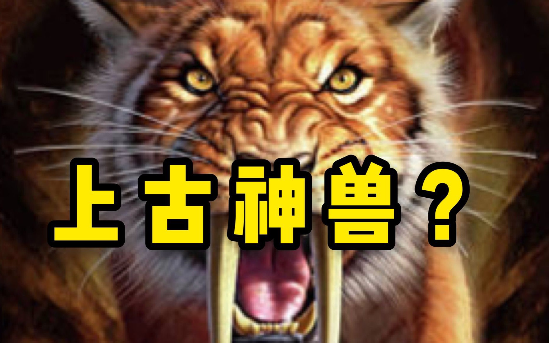 [图]秒杀老虎？神秘的“霸王猇”和“过山黄”【御灵苑 辟邪显正】