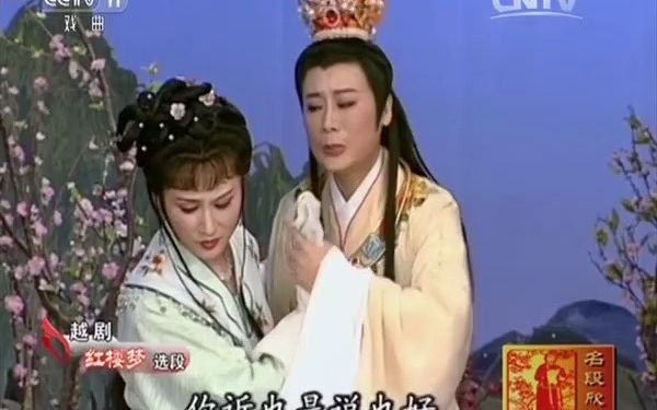 【专辑】《红楼梦+紫玉钗+断指记+真假驸马+舞台姐妹》钱惠丽 唱词字幕哔哩哔哩bilibili