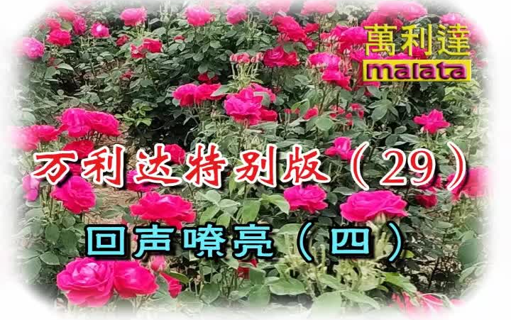 [图]万利达特别版精选-29-回声嘹亮（四）