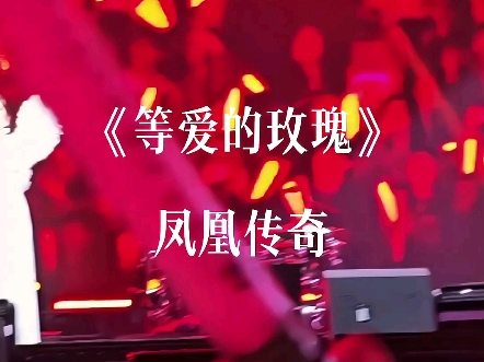 等爱的玫瑰,总回遇到那束光,或早或晚…#凤凰传奇#等爱的玫瑰#经典