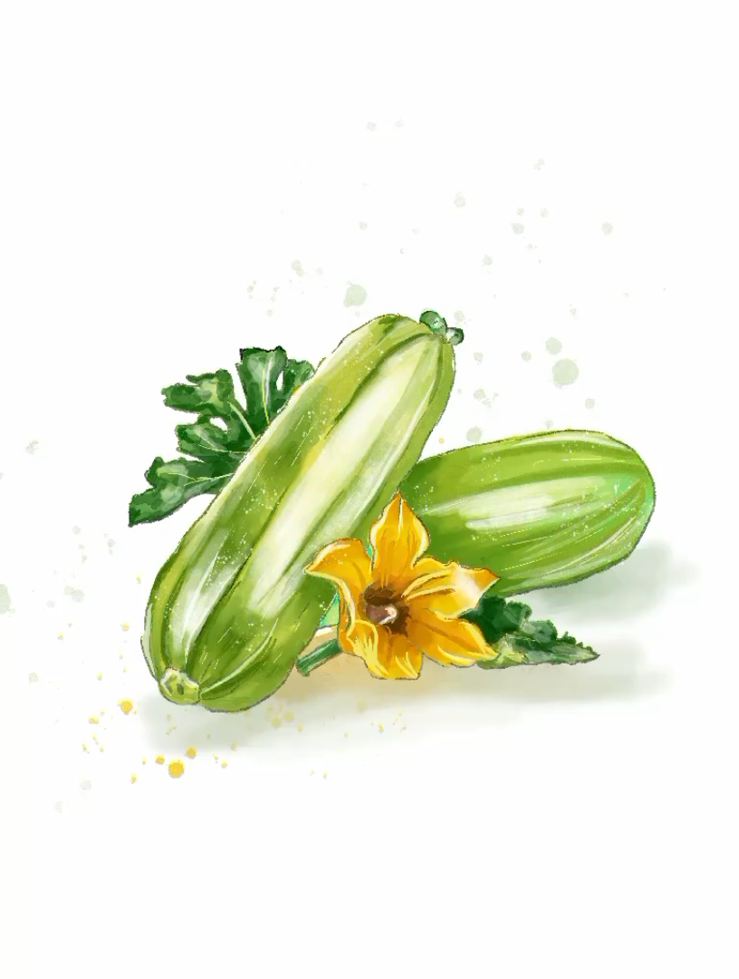 自学procreate绘画水彩西葫芦过程