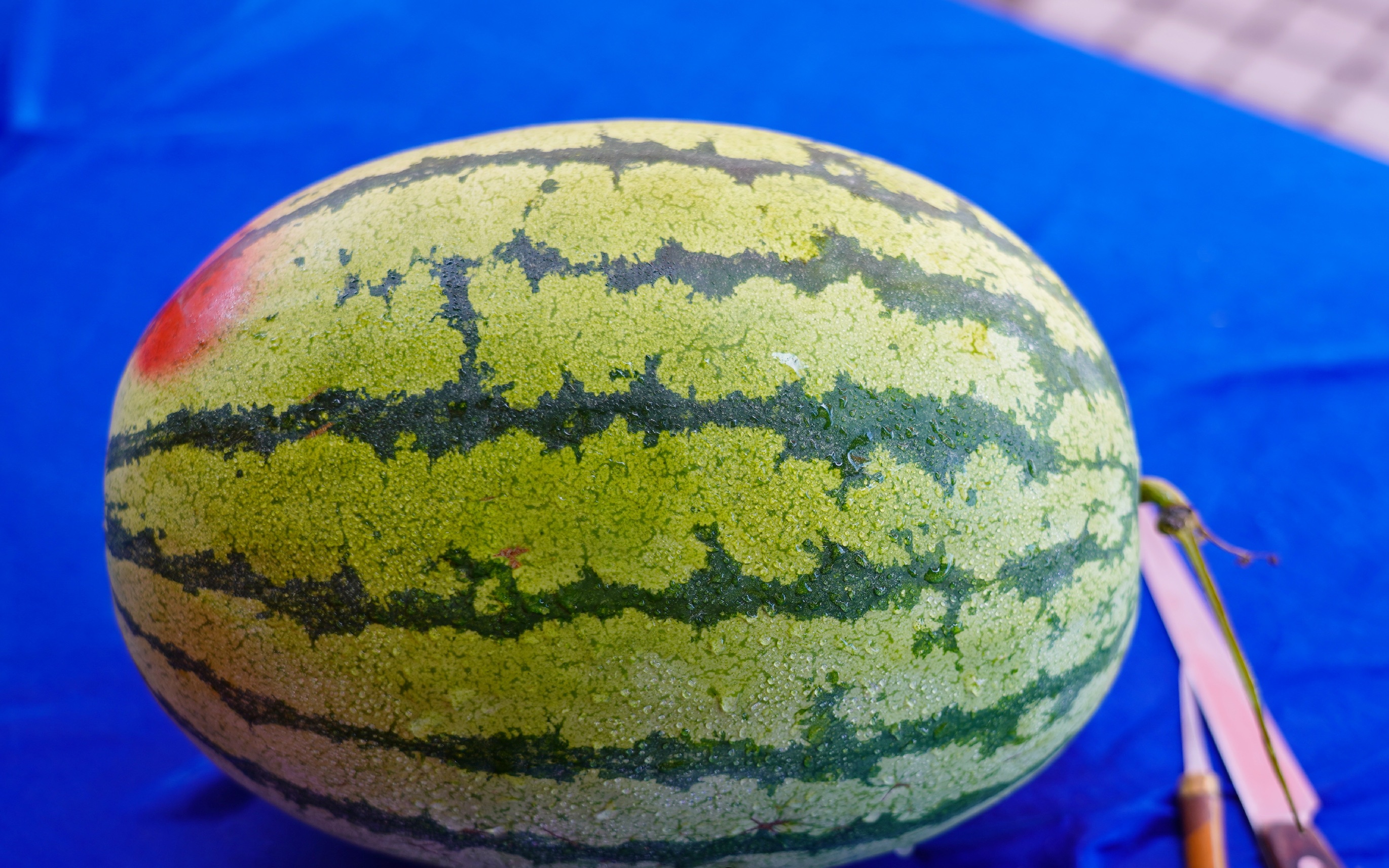 老板:这个西瓜请给我雕刻出普通人买不起的样子!